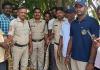 నల్లబెల్లిలో 9 అడుగుల కొండచిలువ కలకలం - చాకచక్యంగా బంధించిన రమేష్
