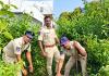 మంగలి తండాలో నాటుసారా స్థావరాలపై ఎక్సైజ్ ఉక్కుపాదం!