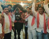 ఘనంగా సదర్  ఉత్సవాలు