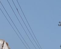 ఎమ్మెల్యే వీర్లపల్లి  శంకర్ సహకారంతో నూతన విద్యుత్ లైనుకు శ్రీకారం