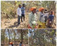 పల్లె ప్రకృతి వనన్ని పరిశీలిస్తున్న చింతకుంటపల్లి సర్పంచ్ పోషమోని రమేష్