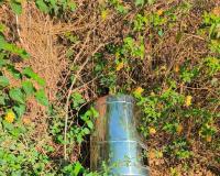 దేవుళ్ళ గుడిలో దొంగల బీభత్సవం