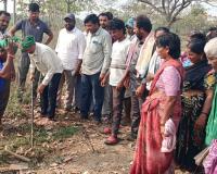 దుబ్బతండ పంచాయతీలో ఉపాధి హామీ పనులు ప్రారంభం   -సర్పంచ్ మత్రు నాయక్ 