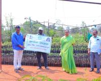 నర్మేట పల్లె ప్రకృతి వనం నర్సరీని పరిశీలించిన కలెక్టర్.