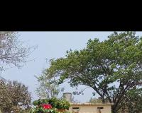 ఘనంగా గంగమ్మ ఆలయ తృతీయ వార్షికోత్సవం.