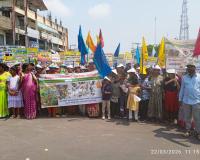 శాఖాహారం అమృతహారం.