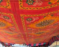 17వ వార్డులో వార్డు సభ... 