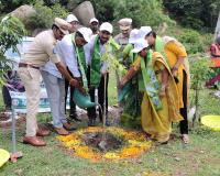 ఆమనగల్లు ను హరితవనంగా తీర్చిదిద్దుతాం.. ఘనంగా వనమహోత్సవం