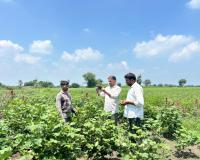 మియాపూర్‌లో పంటల సర్వే పరిశీలన