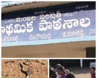 టేకులపల్లి ప్రభుత్వ పాఠశాలలో విషపూరిత నాగుపాము  ప్రత్యక్షం.