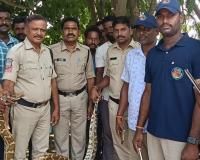 నల్లబెల్లిలో 9 అడుగుల కొండచిలువ కలకలం - చాకచక్యంగా బంధించిన రమేష్
