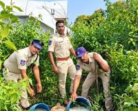 మంగలి తండాలో నాటుసారా స్థావరాలపై ఎక్సైజ్ ఉక్కుపాదం!