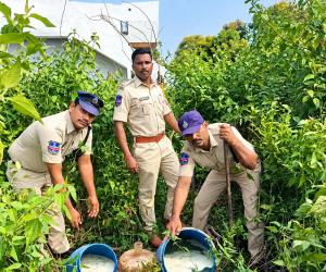 మంగలి తండాలో నాటుసారా స్థావరాలపై ఎక్సైజ్ ఉక్కుపాదం!